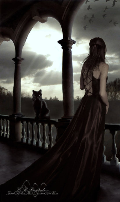 11469486_6615962__Last_Night__by_BlackRibbonRose (414x699, 44Kb)