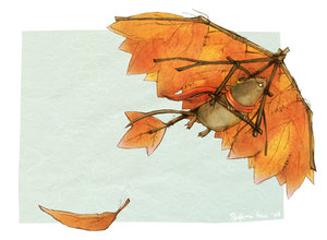 1197207467_9900786_Autumn_Mouse_Glider_by_Quezzie (300x220, 16Kb)