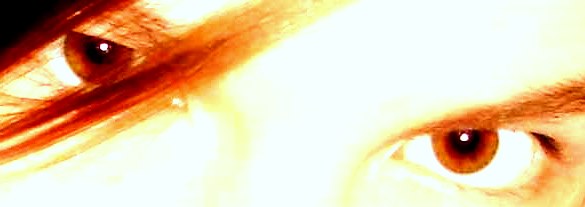 DSC05916 (585x207, 17Kb)