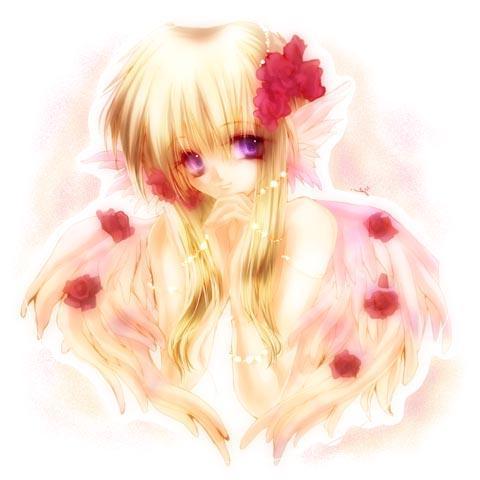  (480x480, 24Kb)