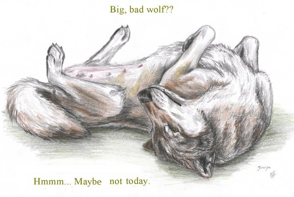 90799_Big__bad_wolf__by_DaphneBlake (600x403, 50Kb)