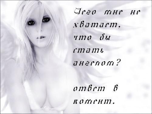  (500x375, 21Kb)