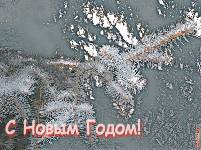 2 января 2007 год. С новым годом 2007. С новым 2007. Новый год 2007.