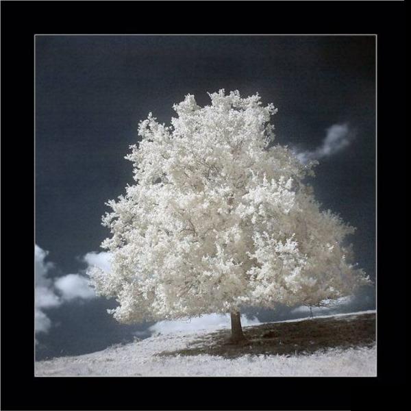 (600x600, 46Kb)