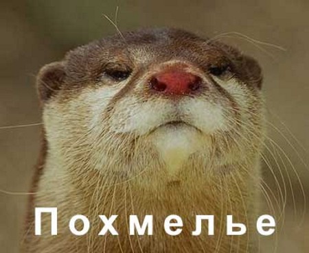  (450x369, 41Kb)
