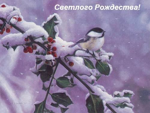 (500x379, 29Kb)