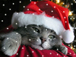 12551436_908a3f857219 (150x113, 24Kb)