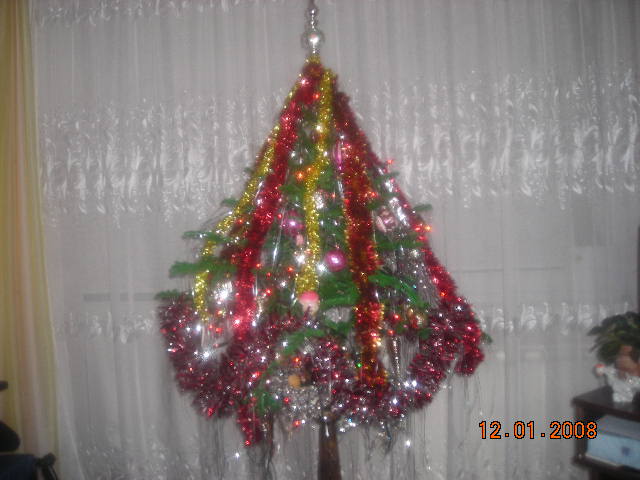 DSCN0270 (640x480, 81Kb)