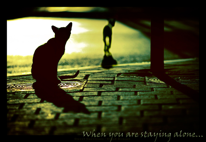 Street_Survivors_by_gilad (699x482, 246Kb)