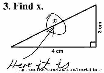  (342x240, 13Kb)