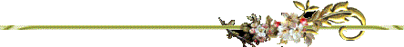  (444x52, 4Kb)