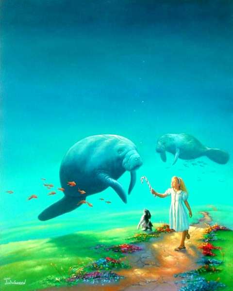  (480x600, 22Kb)