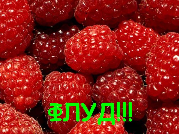  (700x525, 84Kb)