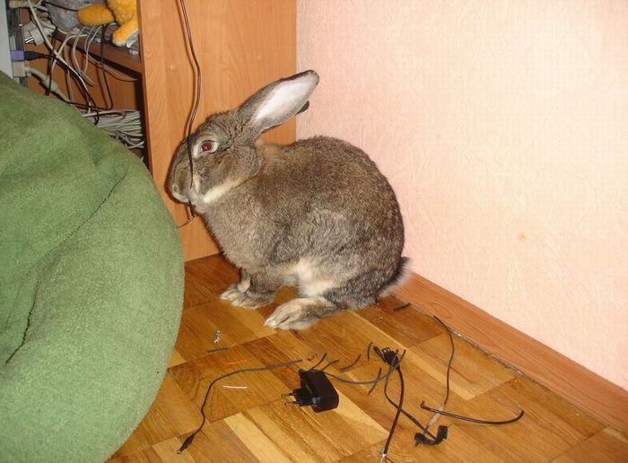  (700x516, 61Kb)