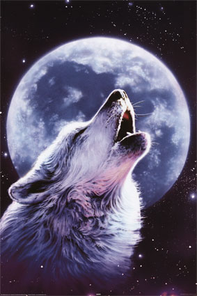 14506516_WoLf_by_oxWoLfxGirLxo (283x425, 30Kb)