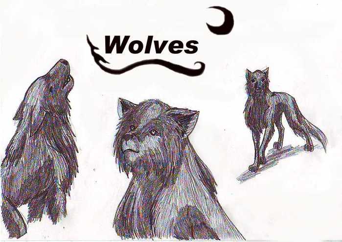 my picture (699x494, 45Kb)