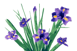 IRISES (316x208, 25Kb)