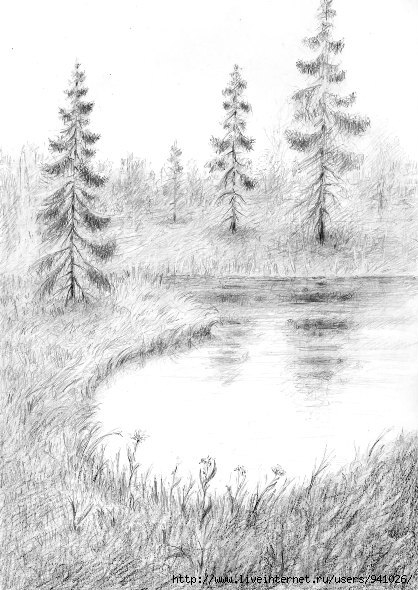 Васюткино озеро иллюстрация карандашом. Васюткино озеро в лесу. Природа карандашом. Пейзаж карандашом. Рисунки карандашом природа.