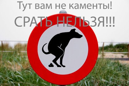  (420x280, 26Kb)