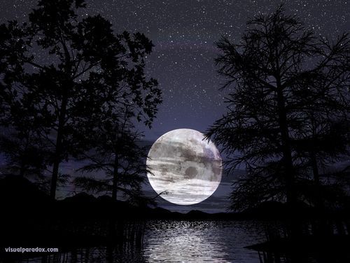  (500x375, 37Kb)
