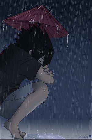  (300x456, 24Kb)