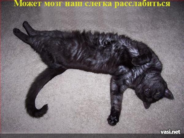  (600x450, 86Kb)