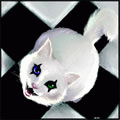 (120x120, 8Kb)