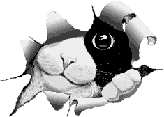 3284784_kot (235x168, 6Kb)