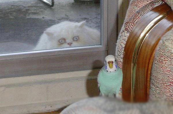  (600x395, 37Kb)