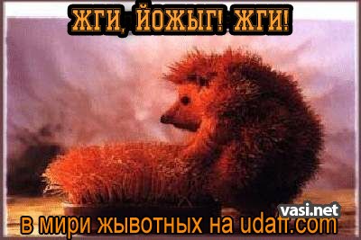  (400x267, 34Kb)