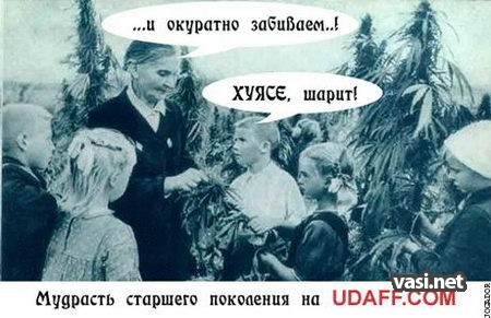  (450x291, 48Kb)