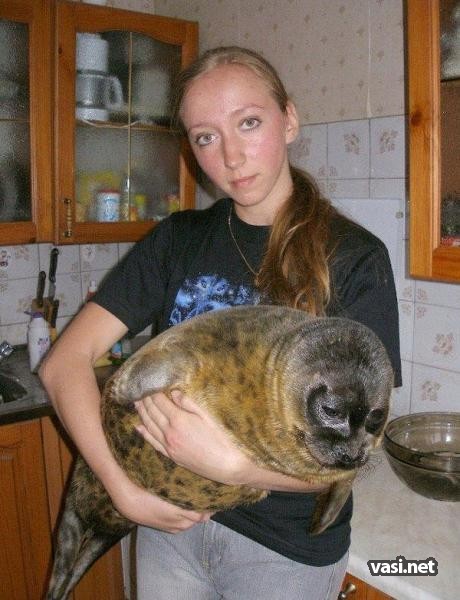  (460x600, 70Kb)