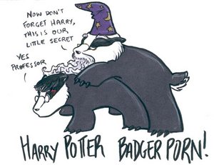 1203836743_17641332_1202760858_Harry_Potter_Badger_Porn_by_lemur_fox (300x231, 16Kb)