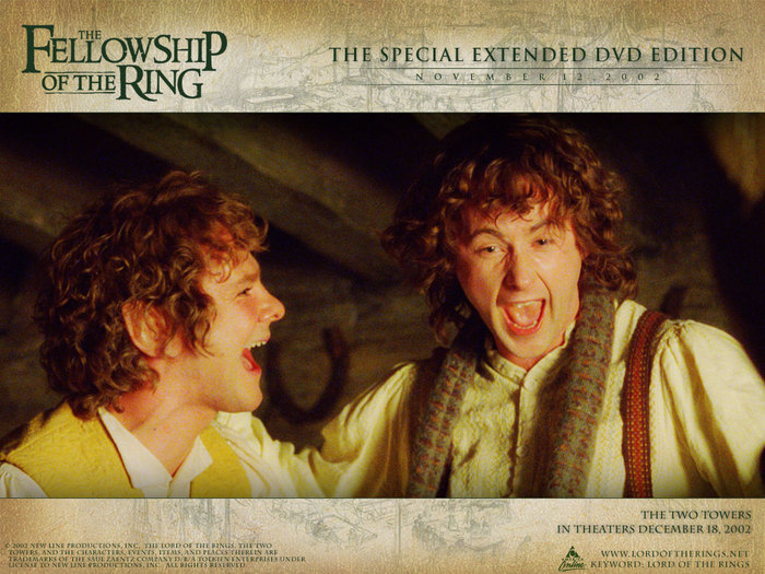 dvd_hobbits_1024 (700x525, 126Kb)