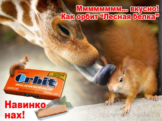  (550x412, 63Kb)