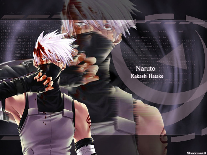  (700x525, 112Kb)