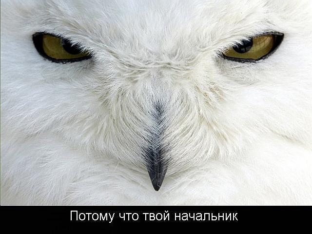  (640x480, 48Kb)