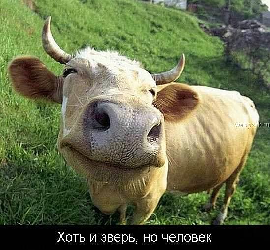  (549x507, 54Kb)