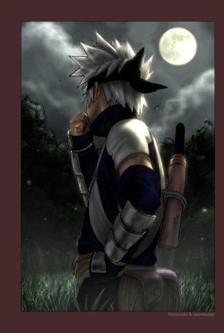  (324x480, 24Kb)
