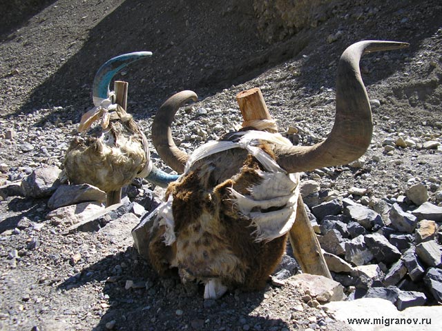  (640x480, 100Kb)