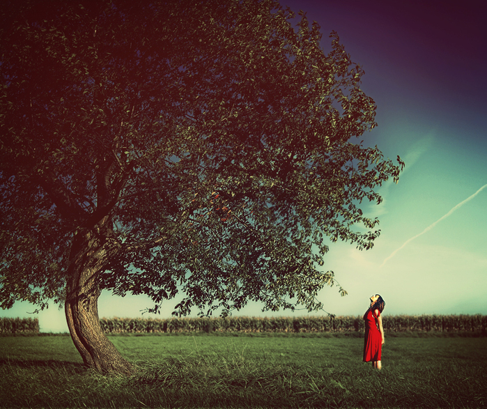 Он видит перед собой большую поляну. Большое дерево и девушка. Девушка перед огромным деревом. Девушка под деревом фото.