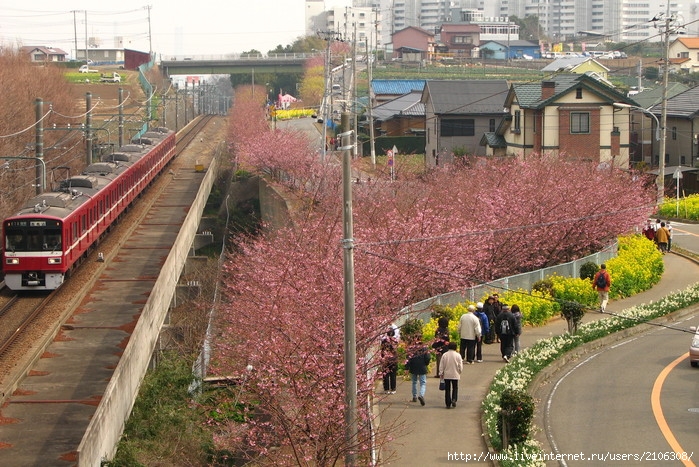 IMG_4851 (699x467, 150Kb)