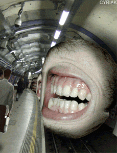  (229x300, 257Kb)
