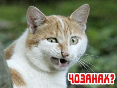  (400x300, 18Kb)
