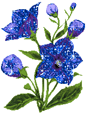 18506662_photo17 (169x223, 24Kb)