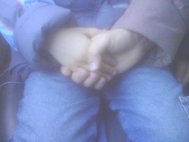  (640x480, 36Kb)