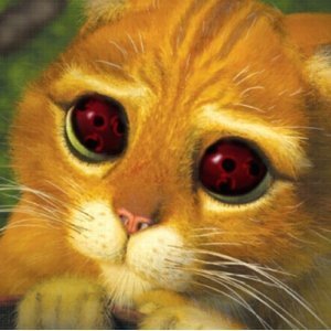  (300x300, 21Kb)