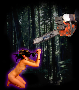  (300x343, 80Kb)