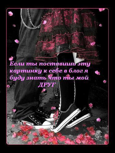 17689995_15657122_tuy_moy_drug2 (375x500, 40Kb)
