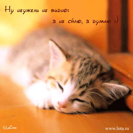  (450x450, 96Kb)